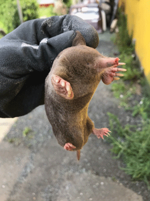 ブログ写真