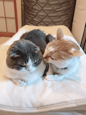 ブログ写真