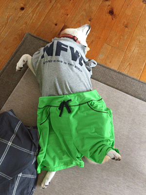 ブログ写真
