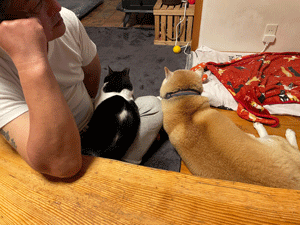 ブログ写真