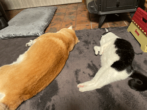 ブログ写真